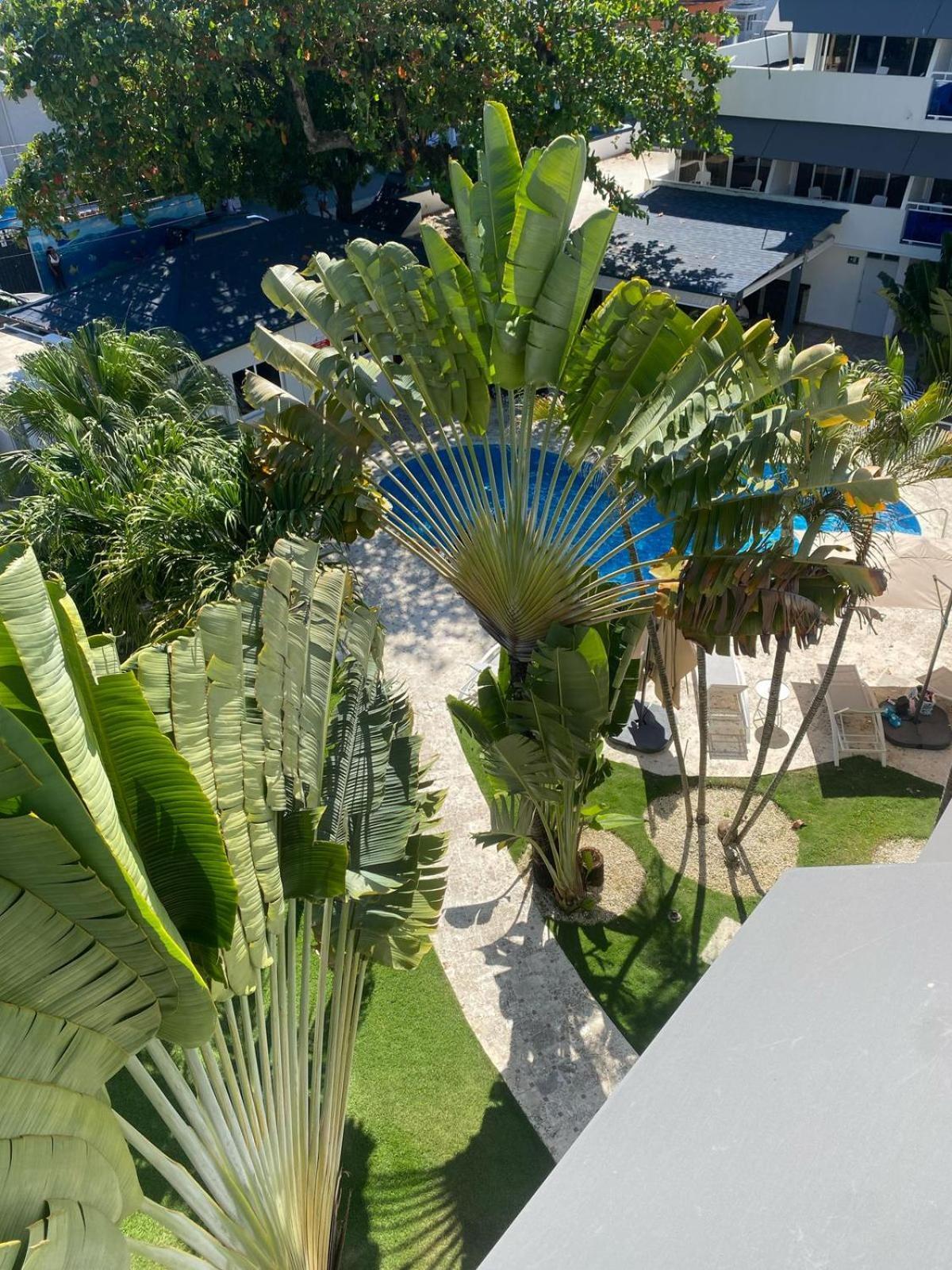 New Garden Hotel Sosúa Exterior foto